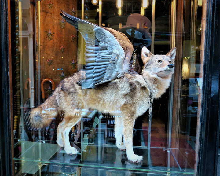 「経済彫刻」というアート活動