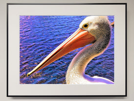 ペリカンスタイル